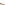 Ballerinas Tan Hush Puppies Marley Ballerina