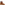 Ladies Ankle Boots Tan Hush Puppies Florence Mid Boot