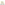 Ladies Sports White Hush Puppies Spark Shoe
