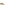 Mens Sports Olive Hush Puppies Good Sneaker