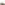 Sandal Ladies Summer Tan Nubuck Hush Puppies Sorcha Mule Sandal