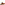 Sandal Ladies Summer Tan Nubuck Hush Puppies Sorcha Mule Sandal