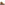 Mens Boots Tan Hush Puppies Paul Boot