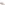 Ladies Sports Blush Hush Puppies Camille Lace Cupsole