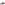 Sandal Ladies Summer Tan Hush Puppies Samira Mule Sandal