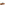 Slip On Mens Summer Tan Hush Puppies Reuben Boat Shoe