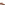 Mens Formal Lace Up Shoes Tan Hush Puppies Dustin Brogue Shoe
