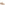 Lace Mens Summer Sand Hush Puppies Otis Lace Up Shoe