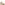 Ladies Heeled Sandals Tan Hush Puppies Phoebe Wedge Sandal