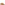 Sandal Ladies Summer Tan Hush Puppies Blaire Mule Sandal