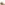 Ladies Mid Boot Tan Hush Puppies Moira Mid Boot