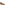 Ballerinas Tan Hush Puppies Skylar Ballerina
