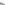 Ballerinas Gold Hush Puppies Skylar Ballerina