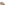 Lace Ladies Shoes Taupe Hush Puppies Bridie Suede Mocc Toe