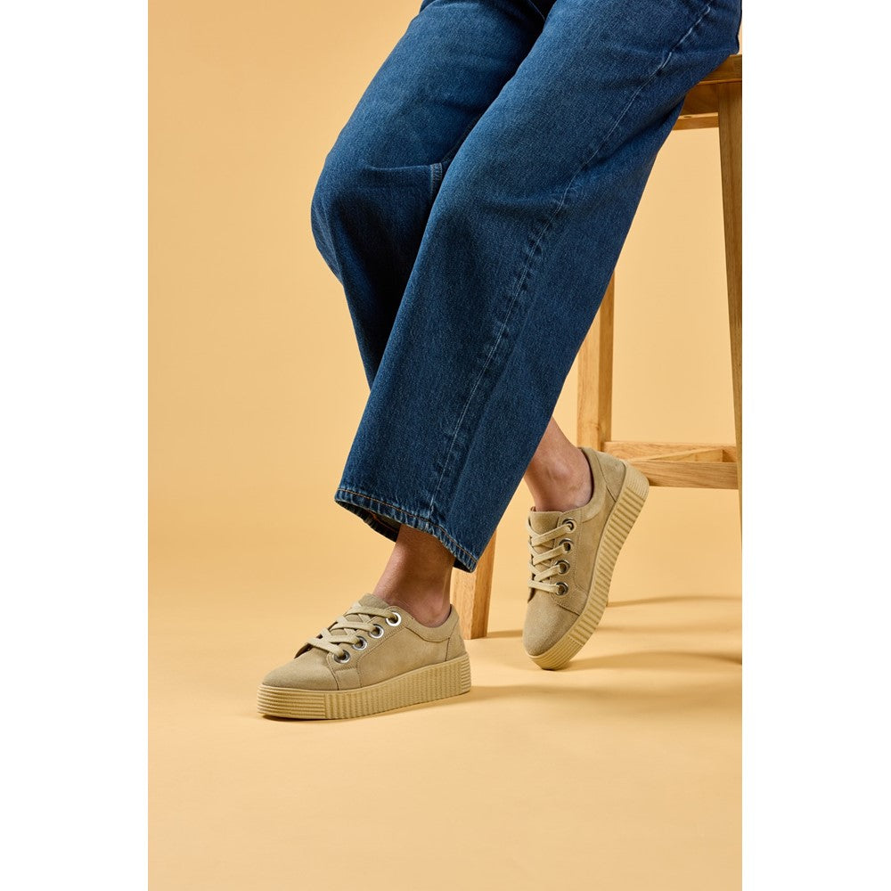 Shoe Ladies Summer Taupe Hush Puppies Tamsin Suede Trainer