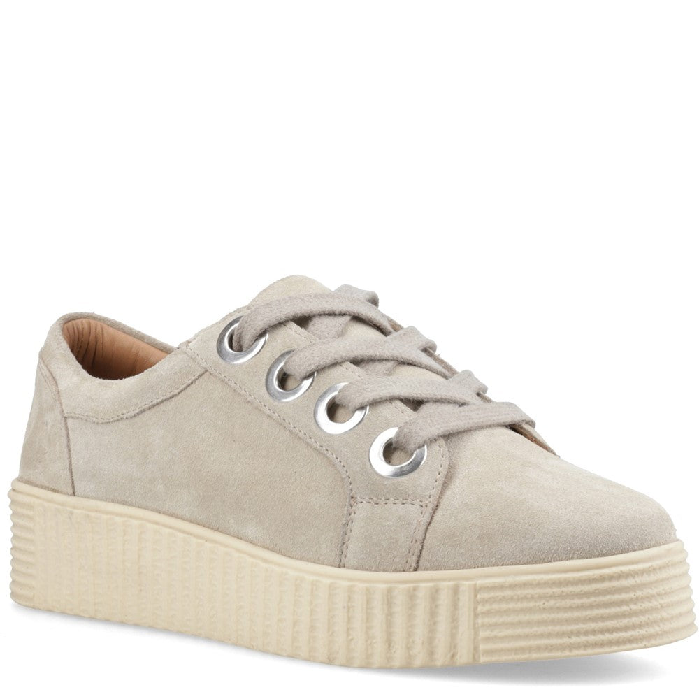 Shoe Ladies Summer Taupe Hush Puppies Tamsin Suede Trainer