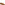 Slip On Ladies Shoes Tan Hush Puppies Natasha Loafer