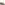 Slip On Ladies Shoes Tan Hush Puppies Isabel Boat Shoe