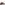 Lace Mens Summer Tan Hush Puppies Samson Wingtip