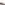 Mens Formal Slip On Shoes Tan Hush Puppies Benedict Loafer
