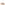Sandal Ladies Summer Tan Hush Puppies Uplift Crossover Slide