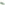 Ladies Sports Green Hush Puppies Harlow Suede Sneaker