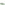 Ladies Sports Green Hush Puppies Harlow Suede Sneaker