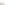 Lace Ladies Shoes Champagne Hush Puppies Joy Wingtip Lace Up