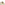 Lace Ladies Shoes Champagne Hush Puppies Joy Wingtip Lace Up