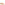 Lace Ladies Shoes Tan Hush Puppies Joy Wingtip Lace Up