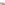 Ladies Heeled Sandals Cafe Creme Hush Puppies Willow Slide Wedge