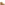 Ladies Ankle Boots Tan Hush Puppies Leonie Suede Boot
