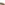 Slip On Ladies Shoes Tan Hush Puppies Connie Tassel Loafer