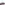 Slip On Ladies Shoes Tan Hush Puppies Connie Tassel Loafer