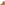 Ladies Ankle Boots Tan Hush Puppies Iria Buckle Boot