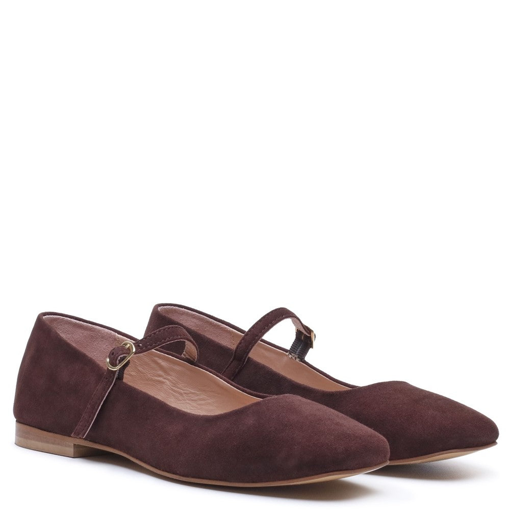 Ballerinas Chocolate Hush Puppies Pasha Suede Ballerina