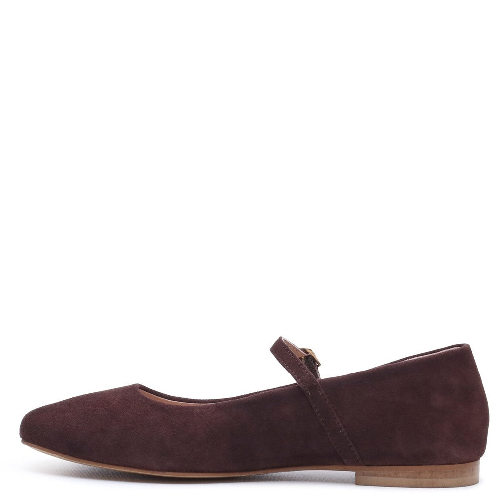 Ballerinas Chocolate Hush Puppies Pasha Suede Ballerina