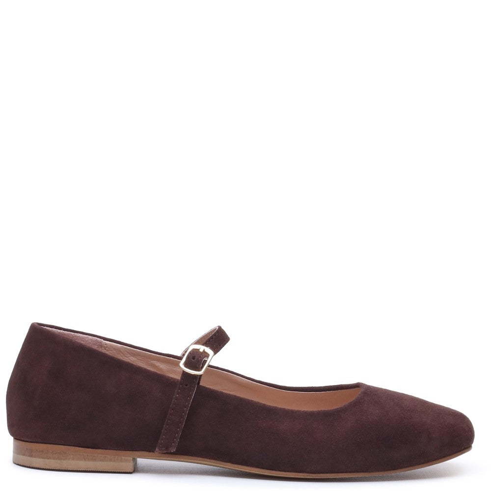 Ballerinas Chocolate Hush Puppies Pasha Suede Ballerina