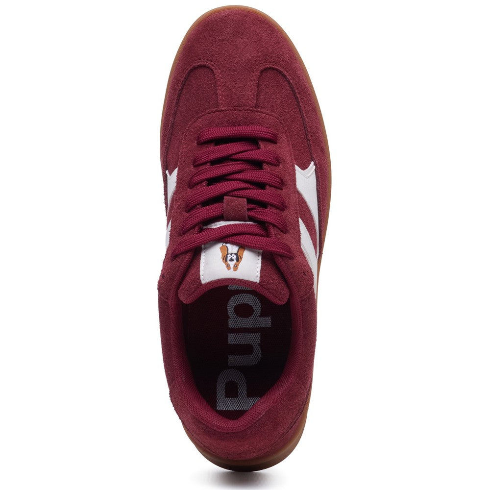Lace Ladies Shoes Bordo Hush Puppies Maura Sneaker