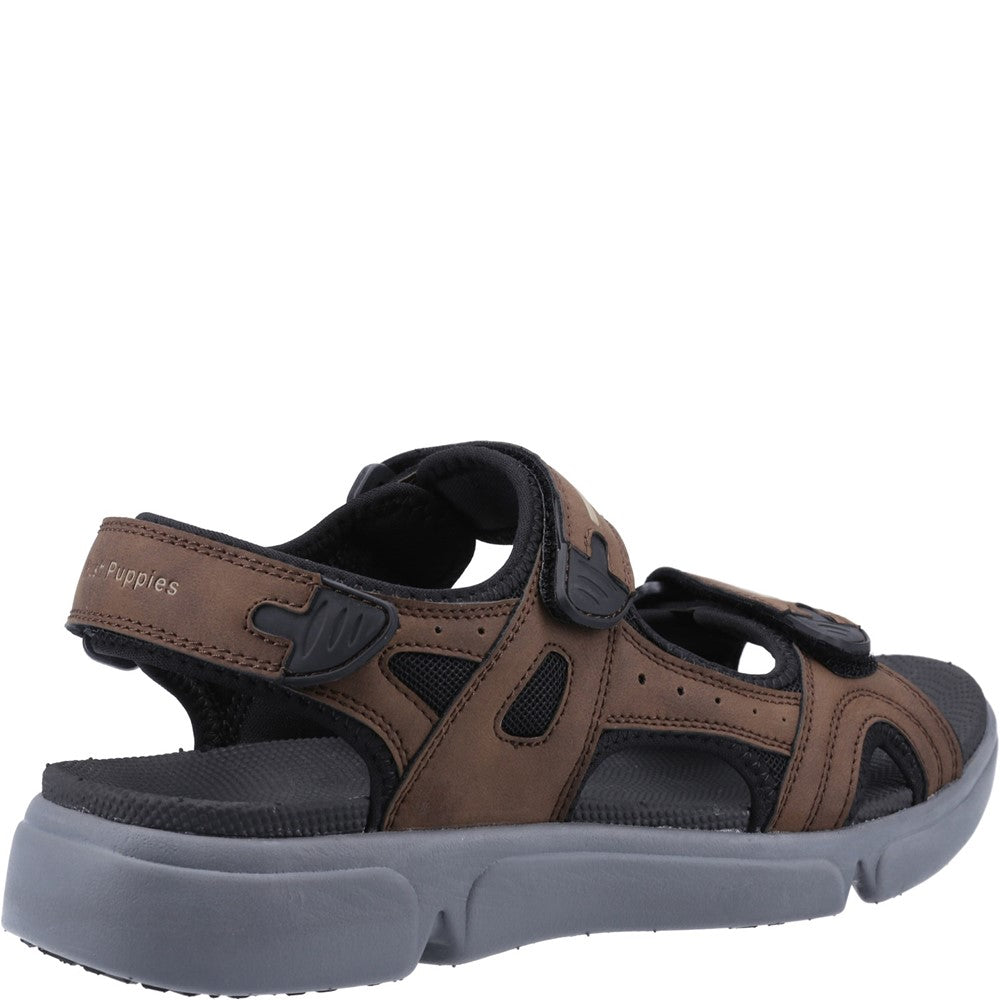 Sandal Mens Summer Brown Hush Puppies Castro Sandal